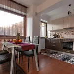 Forest Breeze Apartterrace Braşov
