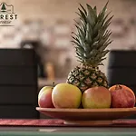 Forest Breeze Apartterrace