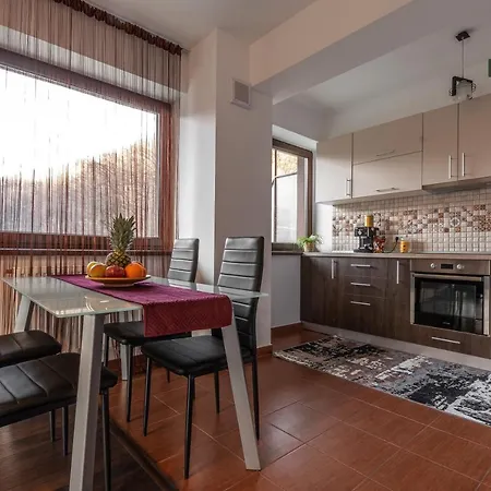 Forest Breeze Apartterrace Брашов