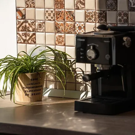 Apartment Forest Breeze Apartterrace Brasov