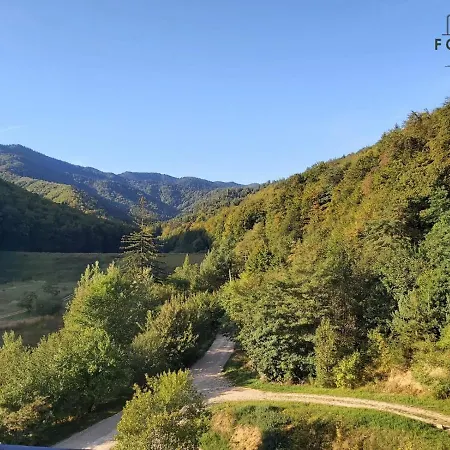 Apartment Forest Breeze Apartterrace Brasov