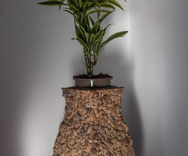 Forest Breeze Apartterrace Apartment