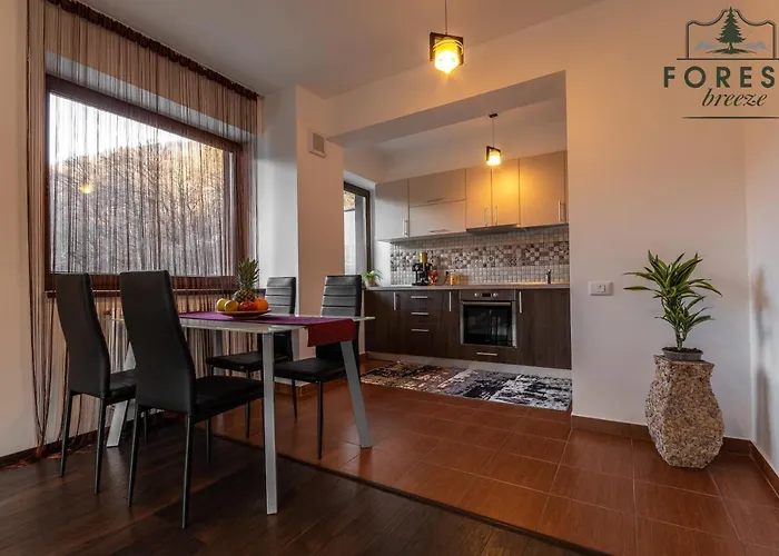 Apartment Forest Breeze Apartterrace Brasov