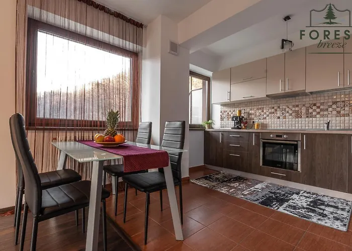 Forest Breeze Apartterrace Brasov