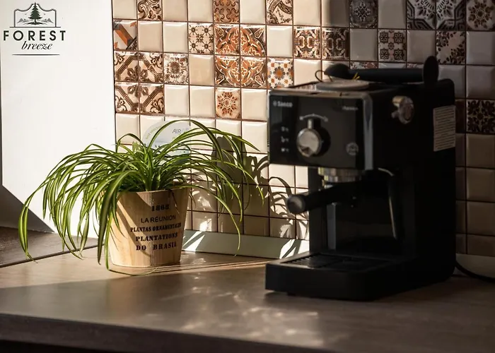 Daire Forest Breeze Apartterrace Braşov