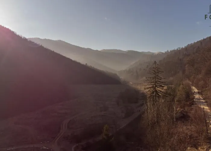 Forest Breeze Apartterrace *