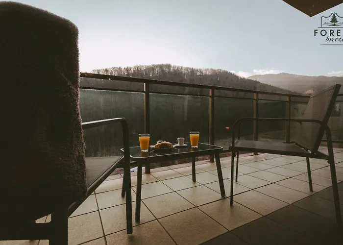 Forest Breeze Apartterrace * Brasov