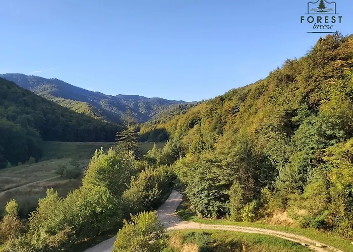 Daire Forest Breeze Apartterrace Braşov